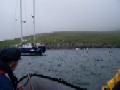 Barra Head