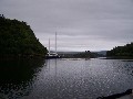 Moidart