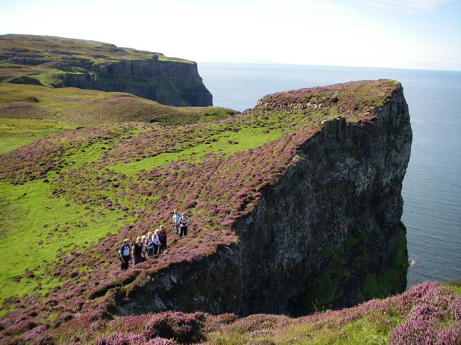 Canna Walk